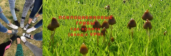прущая мука Тобольск
