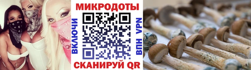где найти наркотики  Юрьевец  Псилоцибиновые грибы Magic Shrooms 
